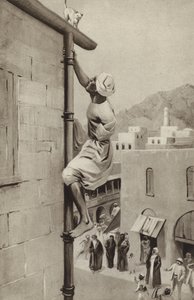 Walter Greenway grimpe à un tuyau, avec un bras, pour sauver un chat en détresse - English School